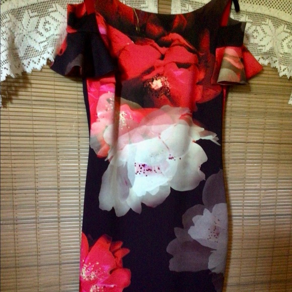 Frank Lyman NWT water color floral print, lovely dress - Picture 8 of 16